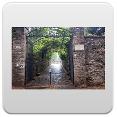 immagini capo di bove