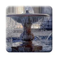 immagini rione Colonna