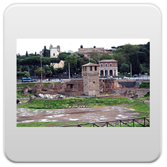 immagini Circo Massimo