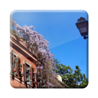 immagini rione Ponte