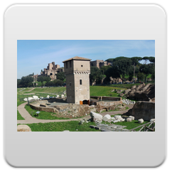 immagini Circo Massimo
