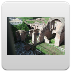 immagini Circo Massimo
