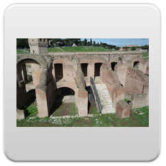 immagini Circo Massimo