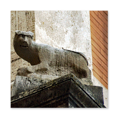 immagini rione Pigna