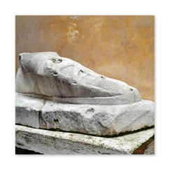 immagini rione Pigna