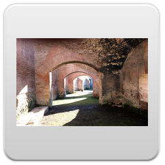 immagini Circo Massimo