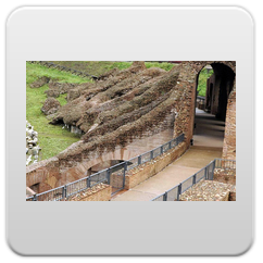 immagini Circo Massimo