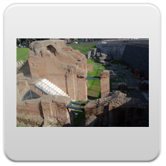 immagini Circo Massimo