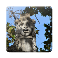 immagini rione Ponte