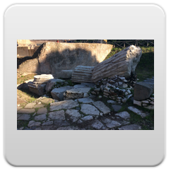 immagini Circo Massimo