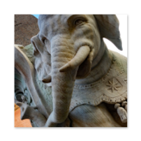 immagini rione pigna